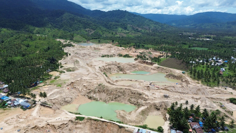 Pohuwato: Tambang Emas Ilegal Merusak Kawasan Konservasi